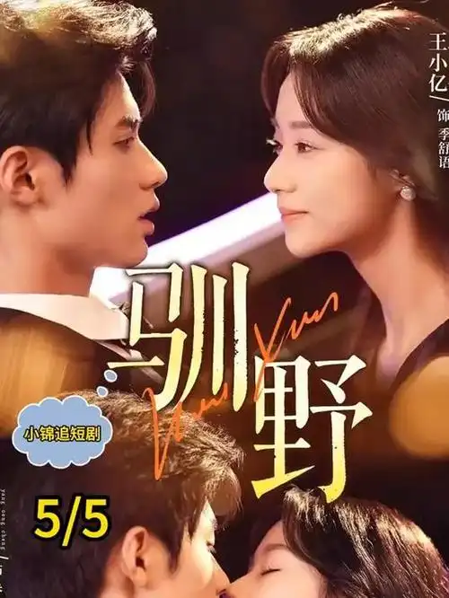县城来的女法官 现实题材热播剧 免费在线观看